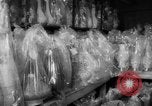 Image of popcorn stuffing New York United States USA, 1959, second 42 stock footage video 65675047253