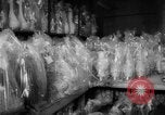 Image of popcorn stuffing New York United States USA, 1959, second 43 stock footage video 65675047253