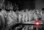 Image of popcorn stuffing New York United States USA, 1959, second 44 stock footage video 65675047253