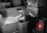 Image of popcorn stuffing New York United States USA, 1959, second 49 stock footage video 65675047253