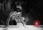 Image of popcorn stuffing New York United States USA, 1959, second 52 stock footage video 65675047253