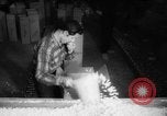 Image of popcorn stuffing New York United States USA, 1959, second 53 stock footage video 65675047253