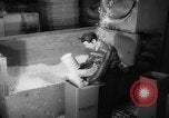 Image of popcorn stuffing New York United States USA, 1959, second 54 stock footage video 65675047253