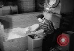 Image of popcorn stuffing New York United States USA, 1959, second 56 stock footage video 65675047253