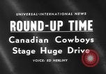 Image of herd of cattle Canada, 1959, second 4 stock footage video 65675047257