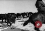 Image of herd of cattle Canada, 1959, second 14 stock footage video 65675047257