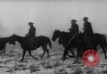 Image of herd of cattle Canada, 1959, second 28 stock footage video 65675047257
