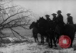 Image of herd of cattle Canada, 1959, second 31 stock footage video 65675047257