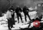 Image of herd of cattle Canada, 1959, second 33 stock footage video 65675047257