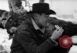 Image of herd of cattle Canada, 1959, second 34 stock footage video 65675047257