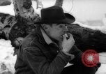 Image of herd of cattle Canada, 1959, second 35 stock footage video 65675047257