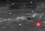 Image of Eleanor Holm Jarrett United States USA, 1935, second 1 stock footage video 65675047260