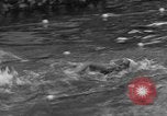 Image of Eleanor Holm Jarrett United States USA, 1935, second 3 stock footage video 65675047260