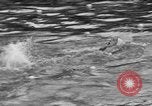 Image of Eleanor Holm Jarrett United States USA, 1935, second 5 stock footage video 65675047260