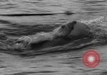 Image of Eleanor Holm Jarrett United States USA, 1935, second 6 stock footage video 65675047260