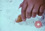 Standbild Franchise System Übereinkommen New York City USA, 1974, aus Sekunde 11 historischem Filmmaterial Videoclip 65675047266