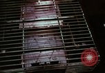 Image of Franchise small businesses in 1970s America United States USA, 1974, second 8 stock footage video 65675047275