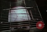 Image of Franchise small businesses in 1970s America United States USA, 1974, second 9 stock footage video 65675047275