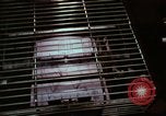Image of Franchise small businesses in 1970s America United States USA, 1974, second 10 stock footage video 65675047275