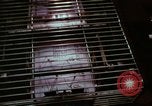 Image of Franchise small businesses in 1970s America United States USA, 1974, second 11 stock footage video 65675047275