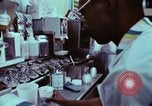 Image of Franchise small businesses in 1970s America United States USA, 1974, second 52 stock footage video 65675047275