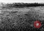 Standbild Hitler Youth Meeting Thüringen Deutschland, 1933, aus Sekunde 27 historischem Filmmaterial Videoclip 65675047295