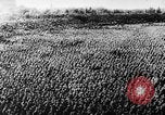 Standbild Hitler Youth Meeting Thüringen Deutschland, 1933, aus Sekunde 28 historischem Filmmaterial Videoclip 65675047295
