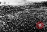 Standbild Hitler Youth Meeting Thüringen Deutschland, 1933, aus Sekunde 32 historischem Filmmaterial Videoclip 65675047295
