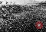 Standbild Hitler Youth Meeting Thüringen Deutschland, 1933, aus Sekunde 34 historischem Filmmaterial Videoclip 65675047295