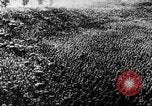 Standbild Hitler Youth Meeting Thüringen Deutschland, 1933, aus Sekunde 35 historischem Filmmaterial Videoclip 65675047295