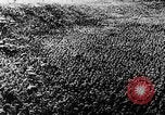Standbild Hitler Youth Meeting Thüringen Deutschland, 1933, aus Sekunde 36 historischem Filmmaterial Videoclip 65675047295