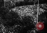 Standbild Swastika nationales Symbol Deutschland, 1933, aus Sekunde 14 historischem Filmmaterial Videoclip 65675047296