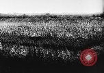 Standbild fünften Parteitag Deutschland, 1933, aus Sekunde 9 historischem Filmmaterial Videoclip 65675047297