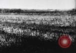 Standbild fünften Parteitag Deutschland, 1933, aus Sekunde 14 historischem Filmmaterial Videoclip 65675047297