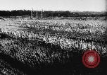 Standbild fünften Parteitag Deutschland, 1933, aus Sekunde 16 historischem Filmmaterial Videoclip 65675047297