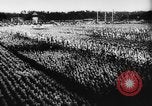 Standbild fünften Parteitag Deutschland, 1933, aus Sekunde 18 historischem Filmmaterial Videoclip 65675047297