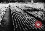 Standbild fünften Parteitag Deutschland, 1933, aus Sekunde 21 historischem Filmmaterial Videoclip 65675047297