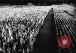 Standbild fünften Parteitag Deutschland, 1933, aus Sekunde 24 historischem Filmmaterial Videoclip 65675047297