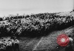 Standbild Adolf Hitler an der Autobahn bahnbrechende Frankfurt Deutschland, 1933, aus Sekunde 9 historischem Filmmaterial Videoclip 65675047298