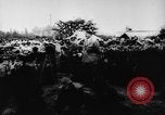 Standbild Adolf Hitler an der Autobahn bahnbrechende Frankfurt Deutschland, 1933, aus Sekunde 51 historischem Filmmaterial Videoclip 65675047298