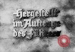 Standbild 6 NSDAP-Konferenz Deutschland, 1934, aus Sekunde 44 historischem Filmmaterial Videoclip 65675047301