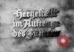 Standbild 6 NSDAP-Konferenz Deutschland, 1934, aus Sekunde 50 historischem Filmmaterial Videoclip 65675047301