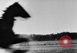 Standbild Adolf Hitler im Jahr 1936 Naziaufmarsch Nürnberg Deutschland, 1936, aus Sekunde 52 historischem Filmmaterial Videoclip 65675047307