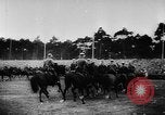 Standbild Adolf Hitler im Jahr 1936 Naziaufmarsch Nürnberg Deutschland, 1936, aus Sekunde 59 historischem Filmmaterial Videoclip 65675047307