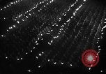 Image of Von Schirach Germany, 1935, second 41 stock footage video 65675047310