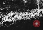 Image of Adolf Hitler Germany, 1934, second 16 stock footage video 65675047313