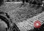 Image of Adolf Hitler Germany, 1934, second 30 stock footage video 65675047313