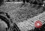 Image of Adolf Hitler Germany, 1934, second 33 stock footage video 65675047313