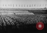 Standbild Adolf Hitler Berlin Deutschland, 1936, aus Sekunde 17 historischem Filmmaterial Videoclip 65675047318