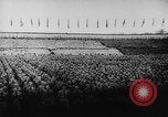 Standbild Adolf Hitler Berlin Deutschland, 1936, aus Sekunde 18 historischem Filmmaterial Videoclip 65675047318